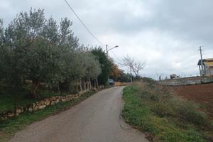 Terreno di 1400 mq edificabile c.da Corvo Nissoria