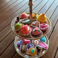 Sassi dipinti a mano 