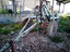 Immagine 1