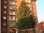 Immagine 12