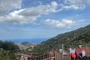 Ricambi Honda Crf 450R 2004