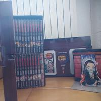 Demon Slayer serie completa