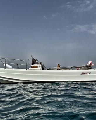 Boston Whaler 21