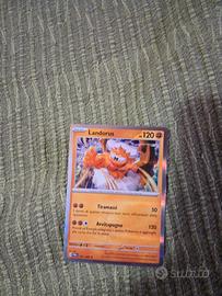 viola allenatore full art