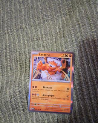 viola allenatore full art