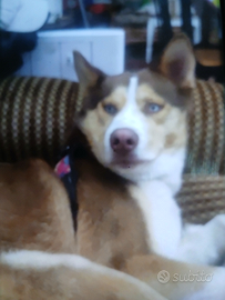 Altipiani di Arcinazzo