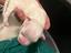 Immagine 4