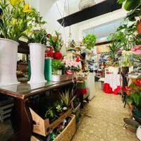 Attività rivendita di fiori e oggettistica