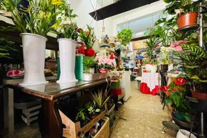 Attività rivendita di fiori e oggettistica