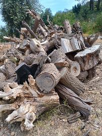 Legna stagionata