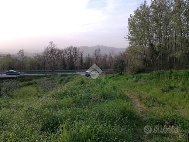 TER. AGRICOLO A MONTEMILETTO