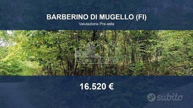 Immobile in asta di 54494 m² a Barberino di Mugell