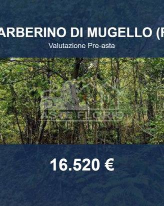 Immobile in asta di 54494 m² a Barberino di Mugell