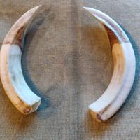 oggetti da collezione 