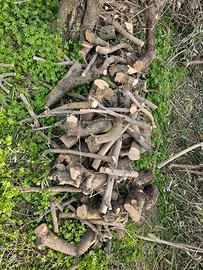 legna di ulivo per camino 