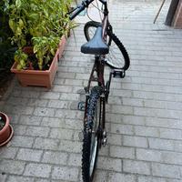 Montabike over size lexus