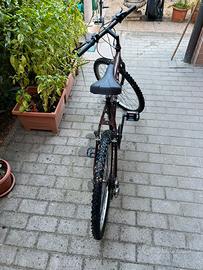 Montabike over size lexus