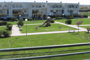 Senigallia 500 mt mare fino a 7 posti