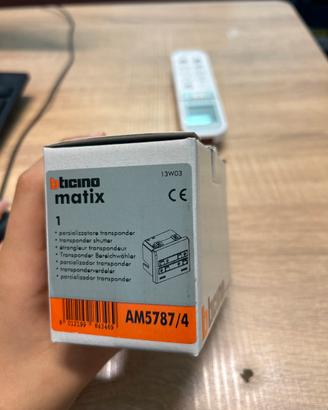AM5787/4  matix