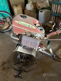 Motozappa vintage