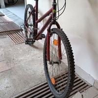 Bici Mountain bike