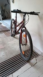 Bici Mountain bike