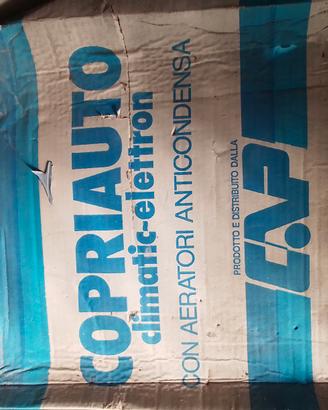 copriauto 