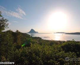 Vista mozzafiato 8 posti letto 450 m spiaggia