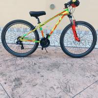 bicicletta mtb