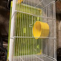 Gabbia criceti  piccole dimensioni (OFFERT3)