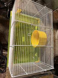 Gabbia criceti  piccole dimensioni (OFFERT3)