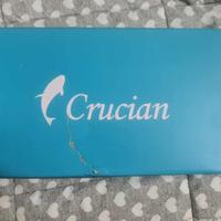 scarpe da ginnastica crucian
