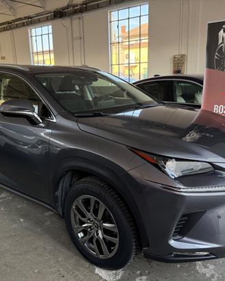 Lexus NX 300h Hybrid Business