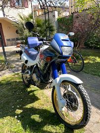 Honda Dominator