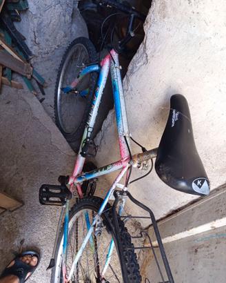 2 bici uomo + una MTB