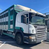 SCANIA P380 TRASPORTO ANIMALI - INCLUSO RIMORCHI