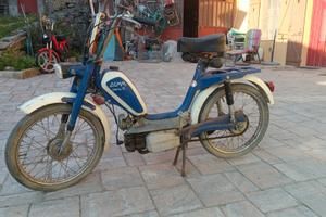 Motorino DEMM SMILY  N