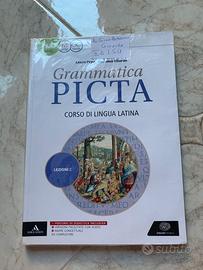 Grammatica picta