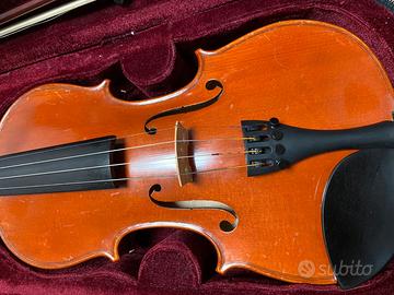 Violino