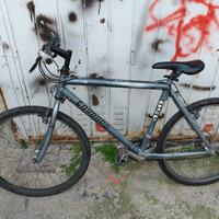 bici da uomo sportiva