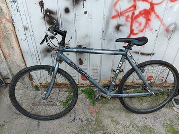 bici da uomo sportiva