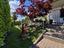 Immagine 23