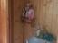Immagine 5