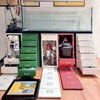 Acquario pesci tropicali e accessori