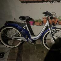 Bici elettrica
