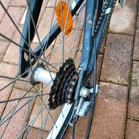 bici ragazza o ragazzo 