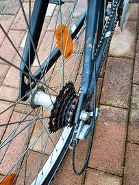 bici ragazza o ragazzo 