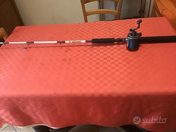 Canna da pesca completa di mulinello