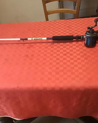 Canna da pesca completa di mulinello