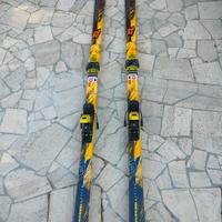 sci Rossignol 